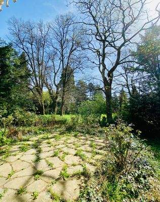 Blick in den Garten