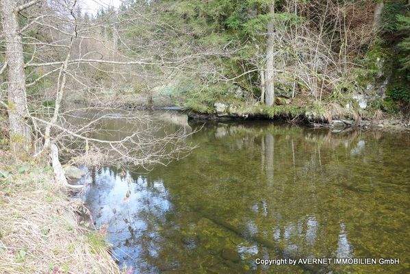 Badestelle in der Nähe