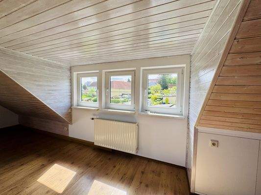Gaube im Spitzboden