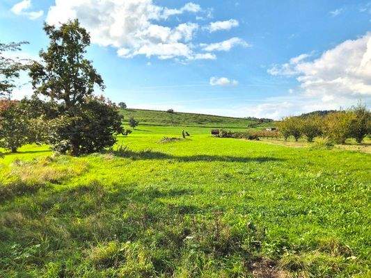 Blick von der Terrasse.jpg