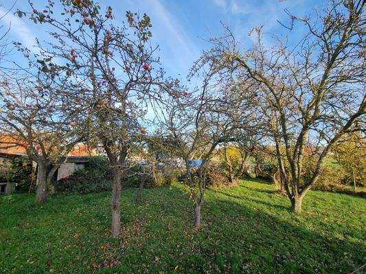 Haus- und Grundstücksansicht