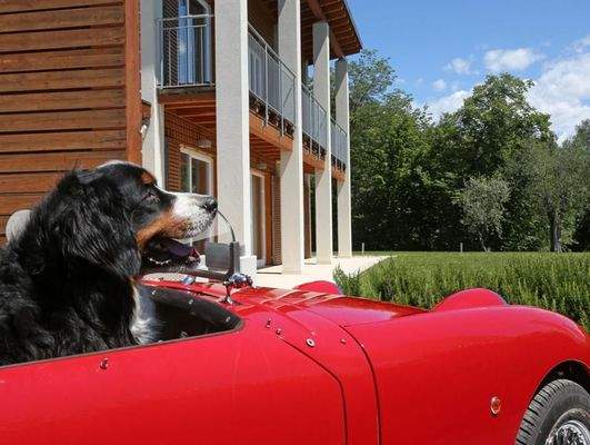 PHOTO-2023-10-28-14-55-06 14.jpg