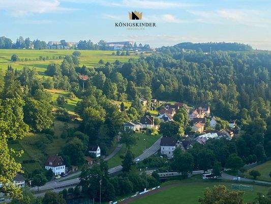 Blick über Altensteig