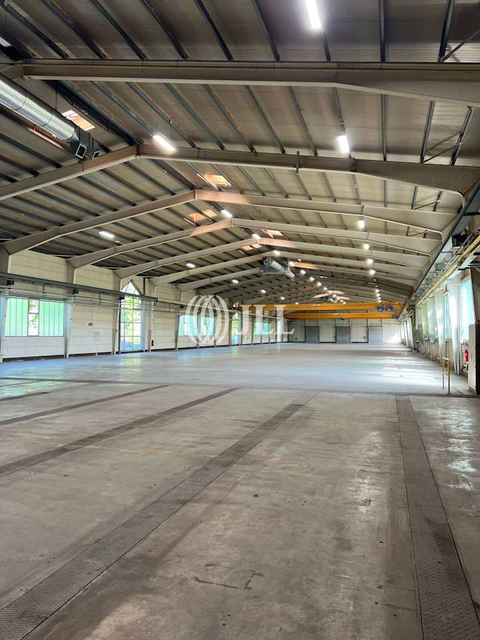 Schönau Halle, Schönau Hallenfläche