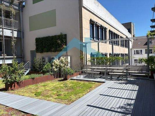 Impressionen Dachgarten