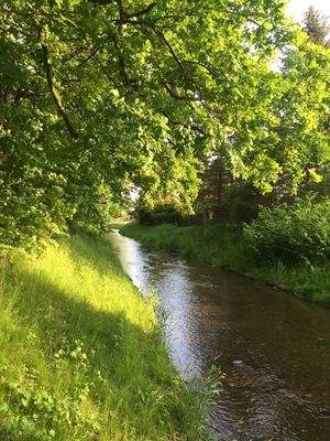 idylliches Bächlein hinterm Haus