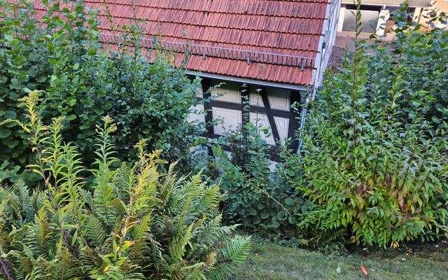 Nebengebaübe Rückseite