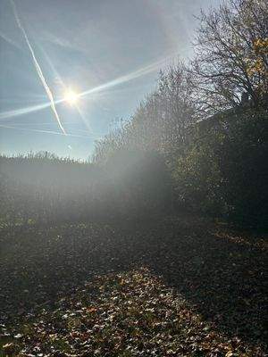 WhatsApp Image 2025-12-04 at 14.17.56 (19)