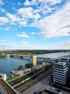 Blick Außenfläche 1