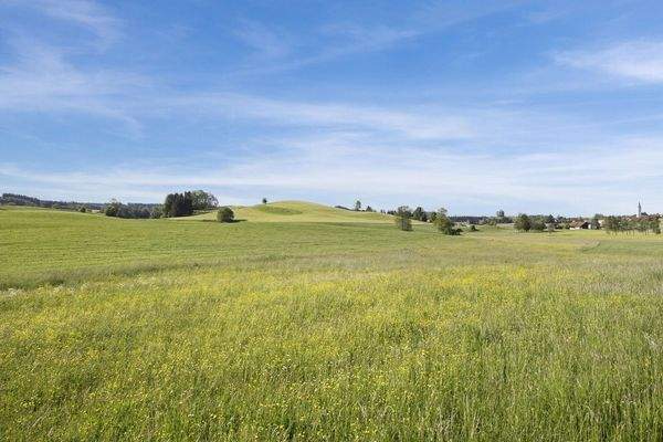 weite eigene Flächen am Haus