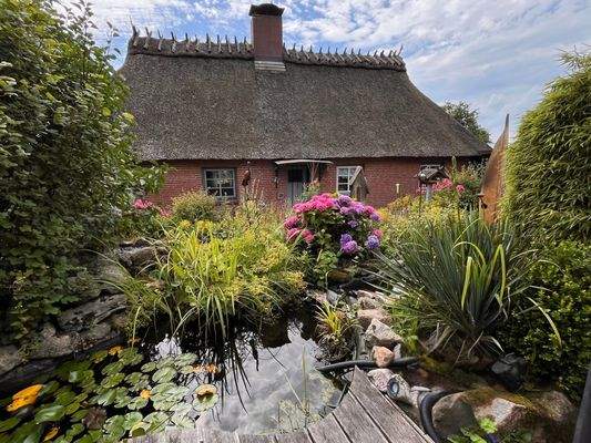 Hausansicht asu dem Garten