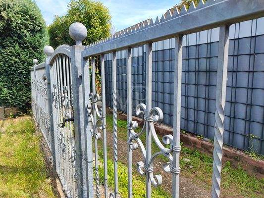 Gartentor hinten