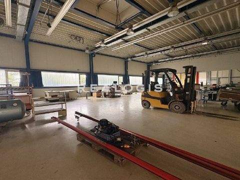 Horb Halle, Horb Hallenfläche