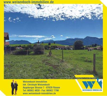 Weisenbach Immobilien