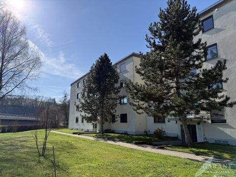 Wutöschingen Wohnungen, Wutöschingen Wohnung kaufen