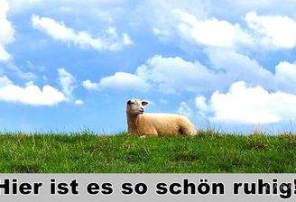 Hier ist es so schön ruhig!