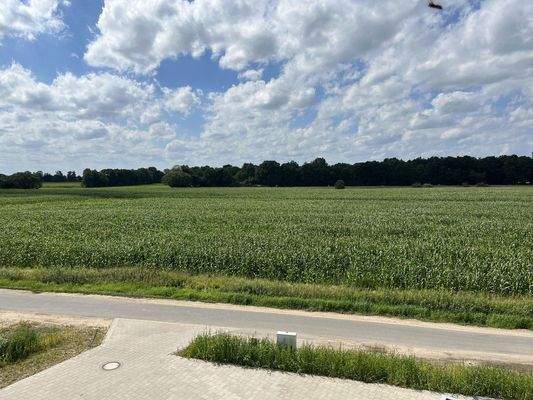 Ausblick aus dem Studio