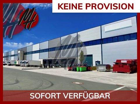 Nürnberg Halle, Nürnberg Hallenfläche