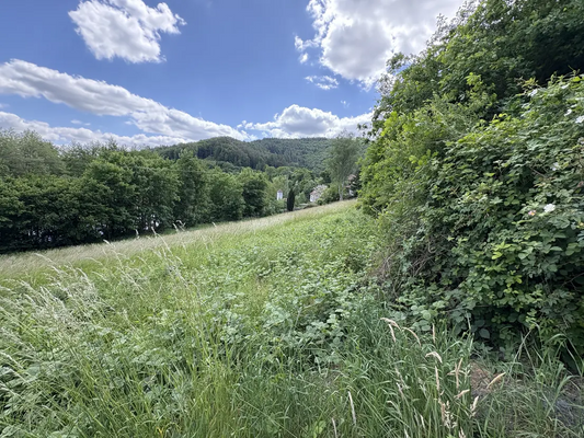 58d44a19-2272-4a65-944b-c932055d7eb3-1907228911