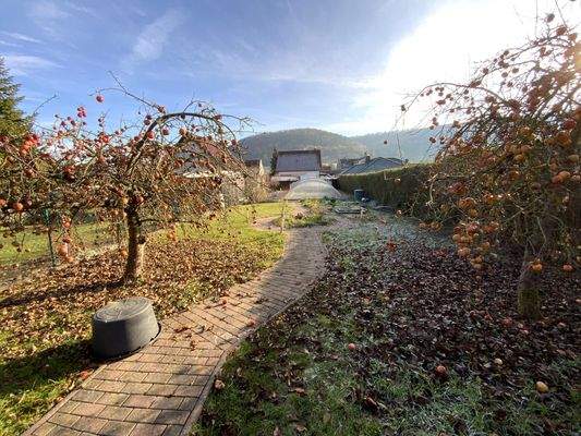 Blick über den Garten