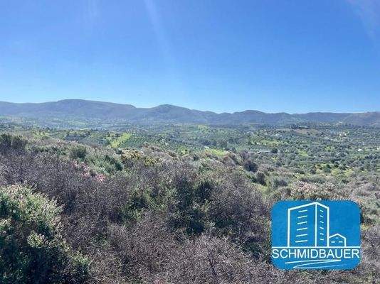 Kreta, Pitsidia: Grundstück am Ortsrand zu verkaufen