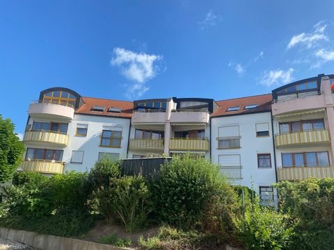 Waldheim Wohnungen, Waldheim Wohnung kaufen