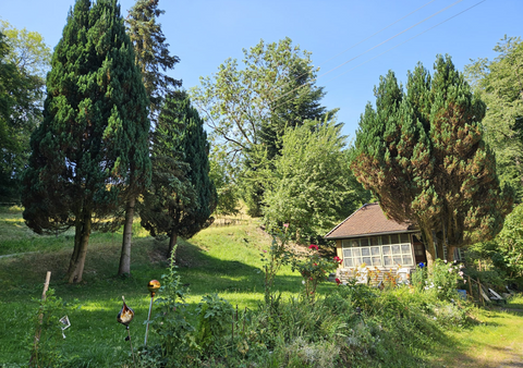 Böhen Bauernhöfe, Landwirtschaft, Böhen Forstwirtschaft