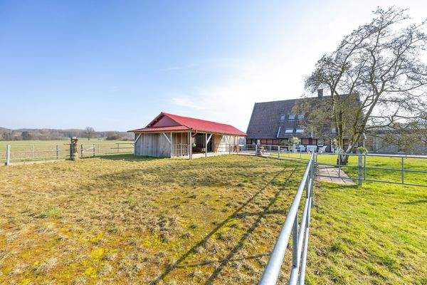 Stall mit Paddock.jpg