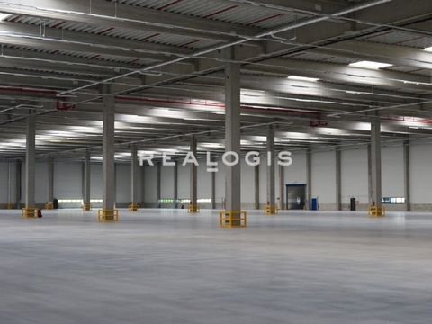 Paderborn Halle, Paderborn Hallenfläche