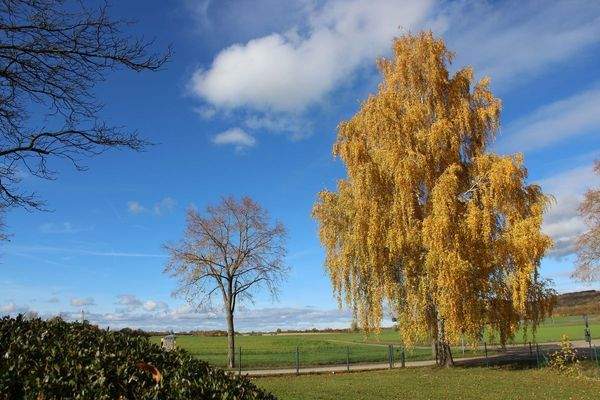 Weitläufige Gartenlandschaft