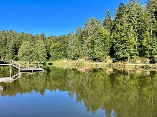 Saldenburger See.JPG