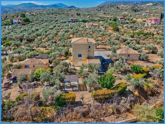 43892c7c2936439a8095a0f9dd4c531d-original