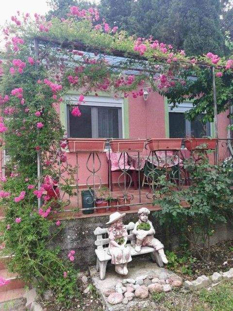 Sutamore Häuser, Sutamore Haus kaufen