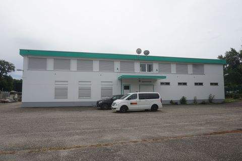 Rastatt Halle, Rastatt Hallenfläche