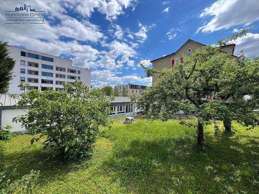 Außenansicht hinten Garten 