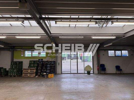 Automatikschiebetür