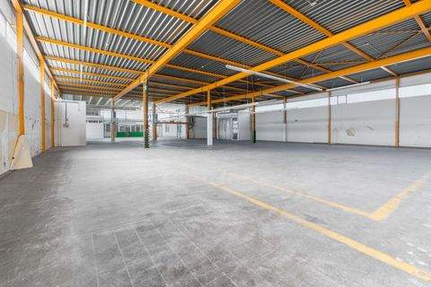 Ulm Halle, Ulm Hallenfläche