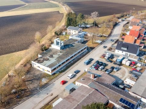 Lauingen Halle, Lauingen Hallenfläche