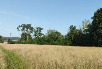 Grundstück Dießen Bild 1.jpg