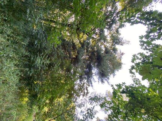 Schlosspark (19).JPG