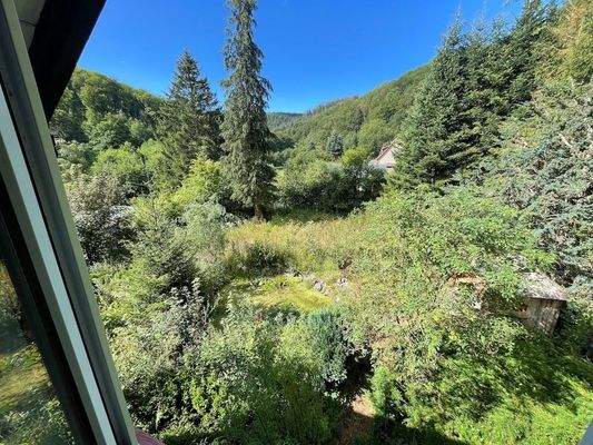 004020156800_302_299_12092023153447615