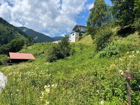 Viehhofen Grundstücke, Viehhofen Grundstück kaufen