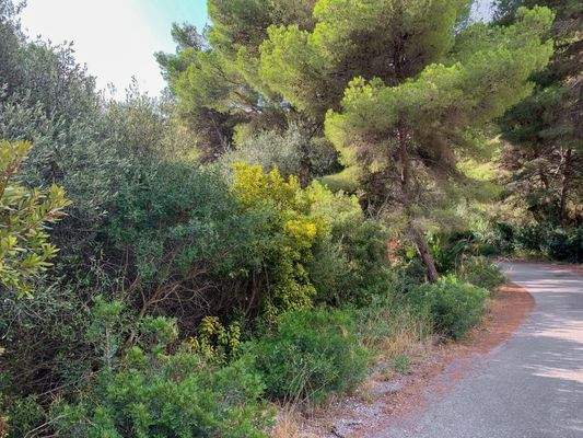 Straße neben Ihrem Grundstück