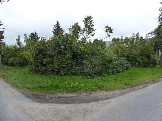 Machnower Seestraße/Erlenweg