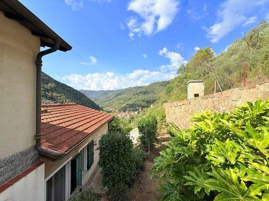 AP_1050_TERRA ITALIA IMMOBILIEN_LIGURIEN_APRICALE_