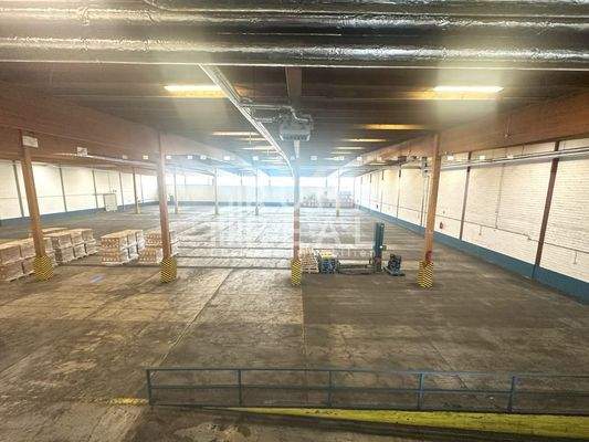 Innenansich Hallenfläche