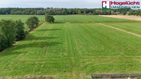 Großheide Grundstücke, Großheide Grundstück kaufen