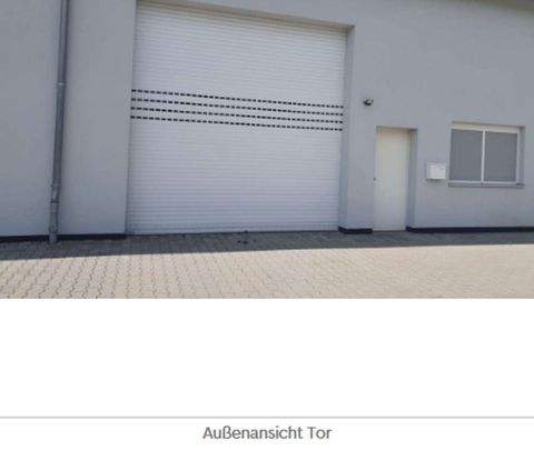 Köln Halle, Köln Hallenfläche