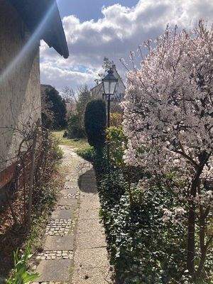 seitlicher Weg Gartenweg