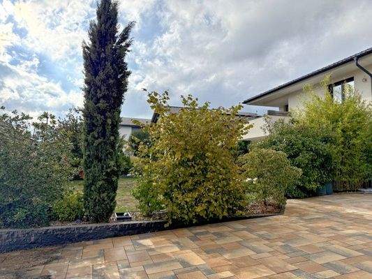 schön eingewachsener Garten